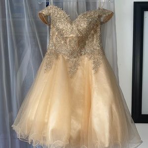 Eva champagne dress